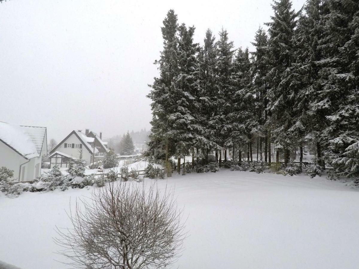 Fewo Kaeppchen Winterberg Exterior foto